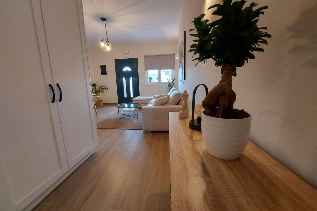 Kentia Fine Living Apartment Kanálion Екстериор снимка